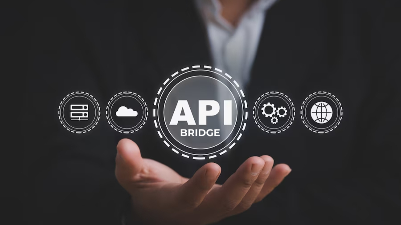 api-application-programming-interface-development-technology-concept_524876-487