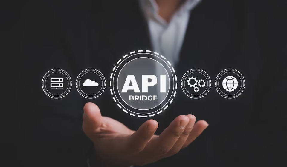 api-application-programming-interface-development-technology-concept_524876-487